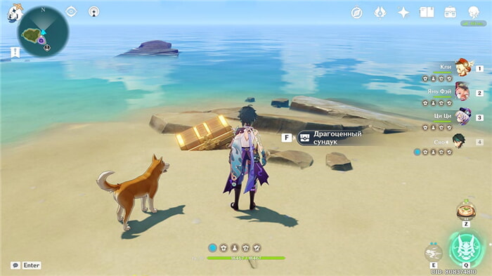 Пёс Торатаро приводит к драгоценному сундуку на острове Дзинрэн