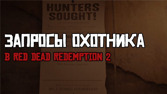 Запросы охотника в Red Dead Redemption 2